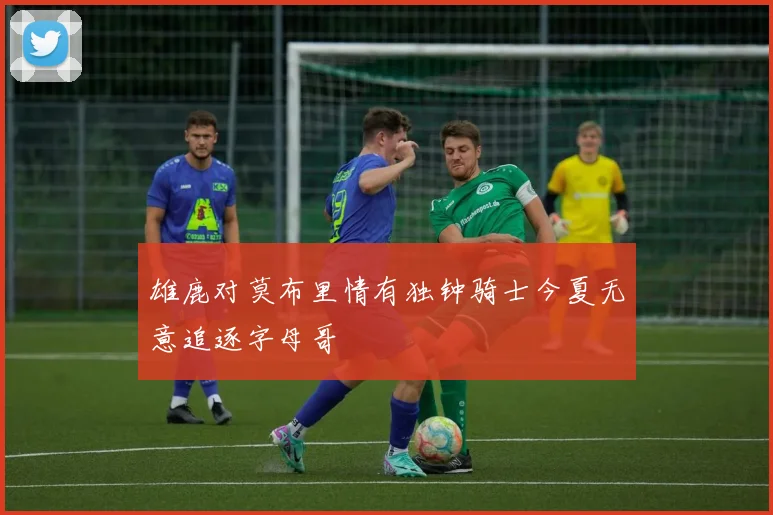 雄鹿对莫布里情有独钟骑士今夏无意追逐字母哥